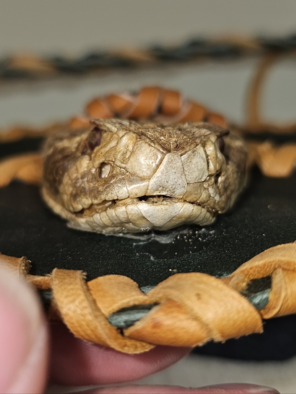 Rattlesnake Purse with Leather Braided Trim - Tan & Black - Picture 7 of 17